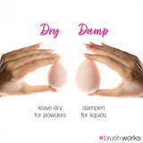 Brushworks Complexion Sponge