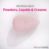 Brushworks Complexion Sponge